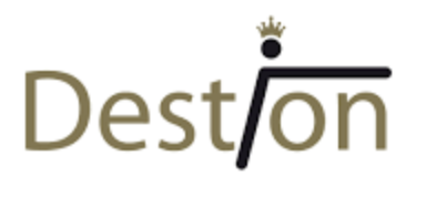 destion logo
